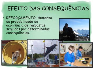 EFEITO DAS CONSEQUÊNCIAS
• REFORÇAMENTO: Aumento
da probabilidade de
ocorrência de respostas
seguidas por determinadas
consequências.
 