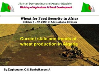 Algérian Democratique and Popular Républic
          Ministry of Agriculture & Rural Development



           Wheat for Food Security in Africa
            October 8 – 12, 2012, in Addis Ababa, Ethiopia




          Current state and trends of
          wheat production in Algeria




By Zeghouane. O & Benbelkacem.A
 