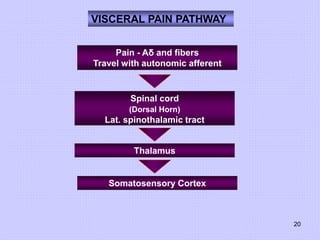 20
VISCERAL PAIN PATHWAY
Pain - Aδ and fibers
Travel with autonomic afferent
Spinal cord
(Dorsal Horn)
Lat. spinothalamic tract
Thalamus
Somatosensory Cortex
 