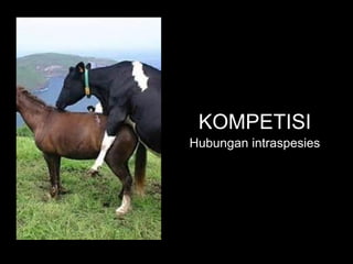 KOMPETISI
Hubungan intraspesies
 