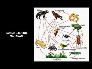 JARING - JARING
MAKANAN
 