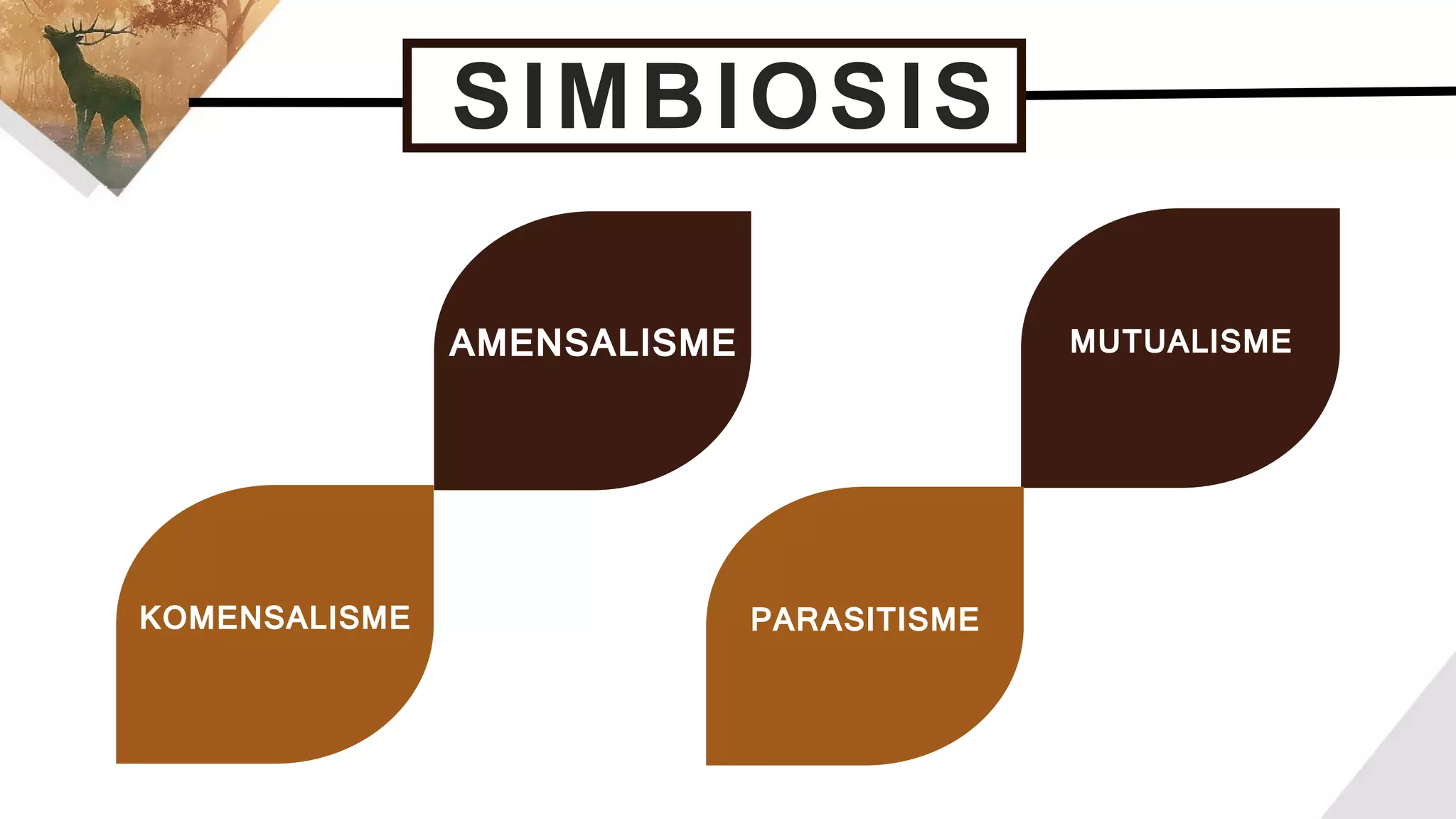 SIMBIOSIS
KOMENSALISME
MUTUALISME
PARASITISME
AMENSALISME
 