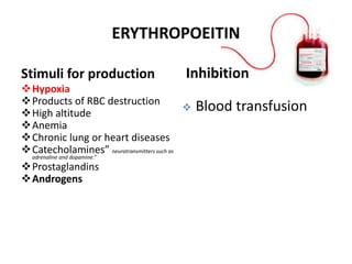 Regulation of erytropioesis | PPTX