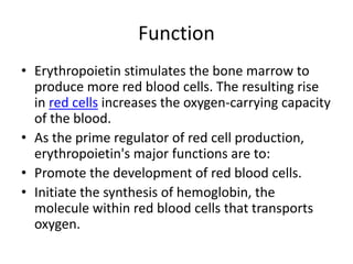 regulation-of-erytropioesis-pptx