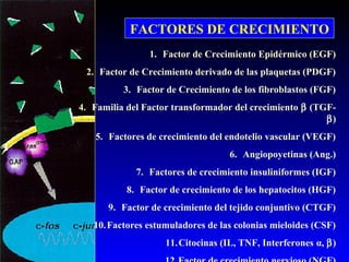 1. Factor de Crecimiento Epidérmico (EGF)
2. Factor de Crecimiento derivado de las plaquetas (PDGF)
3. Factor de Crecimiento de los fibroblastos (FGF)
4. Familia del Factor transformador del crecimiento β (TGF-
β)
5. Factores de crecimiento del endotelio vascular (VEGF)
6. Angiopoyetinas (Ang.)
7. Factores de crecimiento insuliniformes (IGF)
8. Factor de crecimiento de los hepatocitos (HGF)
9. Factor de crecimiento del tejido conjuntivo (CTGF)
10.Factores estumuladores de las colonias mieloides (CSF)
11.Citocinas (IL, TNF, Interferones α, β)
FACTORES DE CRECIMIENTO
 