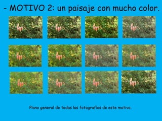 - MOTIVO 2: un paisaje con mucho color. 
Plano general de todas las fotografías de este motivo. 
 