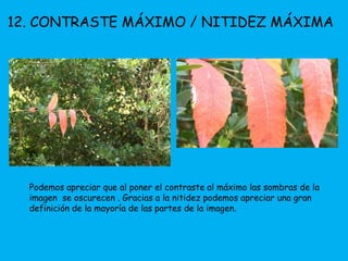 12. CONTRASTE MÁXIMO / NITIDEZ MÁXIMA 
Podemos apreciar que al poner el contraste al máximo las sombras de la 
imagen se oscurecen . Gracias a la nitidez podemos apreciar una gran 
definición de la mayoría de las partes de la imagen. 
 