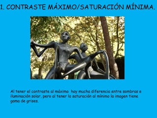 1. CONTRASTE MÁXIMO/SATURACIÓN MÍNIMA. 
Al tener el contraste al máximo hay mucha diferencia entre sombras e 
iluminación solar, pero al tener la saturación al mínimo la imagen tiene 
gama de grises. 
 