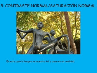5. CONTRASTE NORMAL/SATURACIÓN NORMAL. 
En este caso la imagen se muestra tal y como es en realidad. 
 