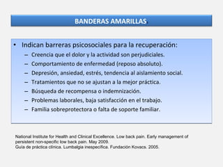 Indican barreras psicosociales para la recuperación: Creencia que el dolor y la actividad son perjudiciales. Comportamiento de enfermedad (reposo absoluto). Depresión, ansiedad, estrés, tendencia al aislamiento social. Tratamientos que no se ajustan a la mejor práctica. Búsqueda de recompensa o indemnización. Problemas laborales, baja satisfacción en el trabajo. Familia sobreprotectora o falta de soporte familiar.  National Institute for Health and Clinical Excellence. Low back pain. Early management of persistent non-specific low back pain. May 2009. Guía de práctica clínica. Lumbalgia inespecífica. Fundación Kovacs. 2005. BANDERAS AMARILLAS 6 