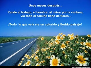 Unos meses después... Yendo al trabajo, el hombre, al  mirar por la ventana, vió todo el camino lleno de flores... ¡Todo  lo que veía era un colorido y florido paisaje!  