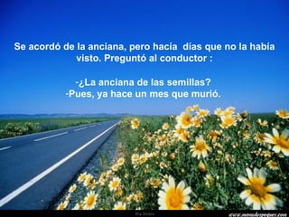 Se acordó de la anciana, pero hacía  días que no la había visto. Preguntó al conductor : ¿La anciana de las semillas?  Pues, ya hace un mes que murió.  . 