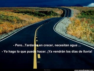 - Pero...Tardarán en crecer, necesitan agua ... - Yo hago lo que puedo hacer. ¡Ya vendrán los días de lluvia! 