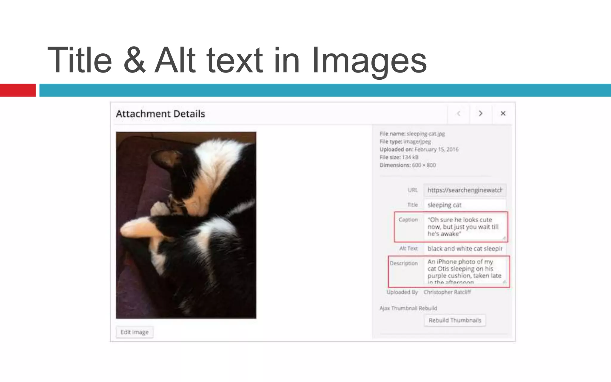Title & Alt text in Images
 