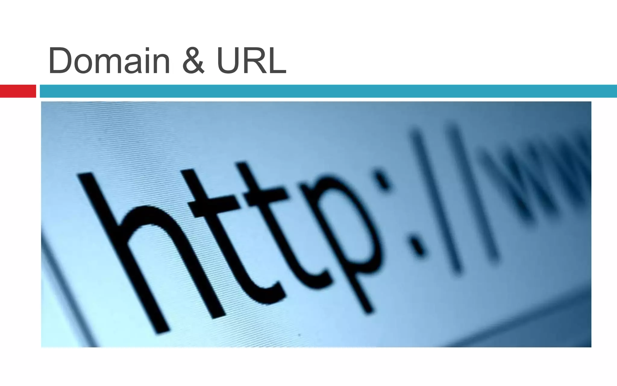 Domain & URL
 