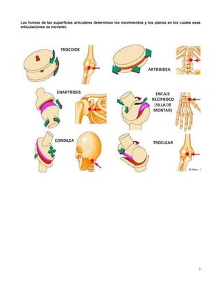 Las formas de las superficies articulares determinan los movimientos y los planos en los cuales esas
articulaciones se moverán.




                                                                                                   3
 