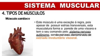 SISTEMA MUSCULAR
4.TIPOS DEMÚSCULOS
Músculo cardíaco
• Este músculo é uma exceção à regra, pois
apesar de possuir estrias transversais, esta
musculatura forma a parede de uma víscera e
tem o seu comando pelo sistema nervoso
autônomo, sendo por isso denominado de
estriado involuntário visceral.
 