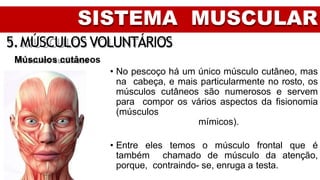 SISTEMA MUSCULAR
5.MÚSCULOS VOLUNTÁRIOS
Músculos cutâneos
• No pescoço há um único músculo cutâneo, mas
na cabeça, e mais particularmente no rosto, os
músculos cutâneos são numerosos e servem
para compor os vários aspectos da fisionomia
(músculos
mímicos).
• Entre eles temos o músculo frontal que é
também chamado de músculo da atenção,
porque, contraindo- se, enruga a testa.
 