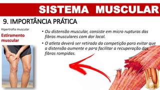 SISTEMA MUSCULAR
9. IMPORTÂNCIA PRÁTICA
Hipertrofia muscular
Estiramento
muscular
• Ou distensão muscular, consiste em micro rupturas das
fibras musculares com dor local.
• O atleta deverá ser retirado da competição para evitar que
a distensão aumente e para facilitar a recuperação das
fibras rompidas.
 