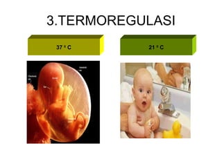 3.T ERMOREGULASI 37  0  C 21  0  C 