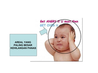 AREAL YANG  PALING BESAR  KEHILANGAN PANAS 