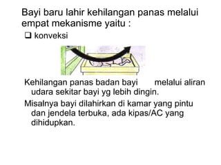 Bayi baru lahir kehilangan panas melalui empat mekanisme yaitu : konveksi Kehilangan panas badan bayi   melalui aliran udara sekitar bayi  y g lebih dingin.  Misalnya bayi dilahirkan di kamar yang pintu dan jendela terbuka, ada kipas/AC yang dihidupkan. 