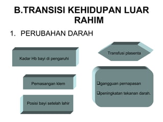 B.TRANSISI KEHIDUPAN LUAR RAHIM PERUBAHAN DARAH Kadar Hb bayi di  pengaruhi Pemasangan klem Posisi bayi setelah lahir gangguan pernapasan peningkatan tekanan darah.  Transfusi plasenta 