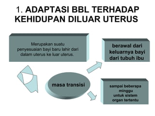 1.  ADAPTASI BBL TERHADAP KEHIDUPAN DILUAR UTERUS   Merupakan suatu penyesuaian bayi baru lahir dari  dalam uterus ke luar uterus.   masa transisi   berawal dari keluarnya bayi  dari tubuh ibu   sampai beberapa  minggu untuk sistem  organ tertentu   