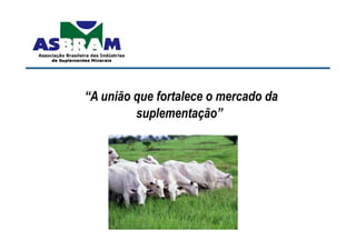 Associação Brasileira das Indústrias
Associação Brasileira das Indústrias
     de Suplementos Minerais
     de Suplementos Minerais




                   “A união que fortalece o mercado da
                            suplementação”
 