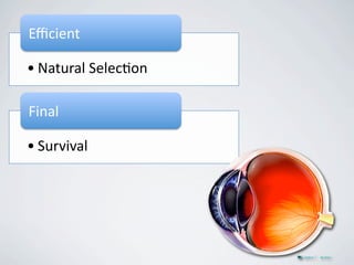 /0+1*.$(

! "#$%&#'()*'*+,-.(

31.#'(

! )%&212#'(
 