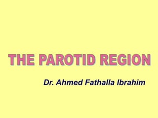 Dr. Ahmed Fathalla Ibrahim
 