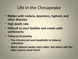 Life in the Chesapeake 
• Ridden with malaria, dysentery, typhoid, and 
other diseases 
• High death rate 
• Difficult to start families and create solid 
settlements 
• Tobacco Economy 
– The climate/soil was hospitable to tobacco 
cultivation 
– More tobacco means more labor, but where will this 
labor source come from? 
 