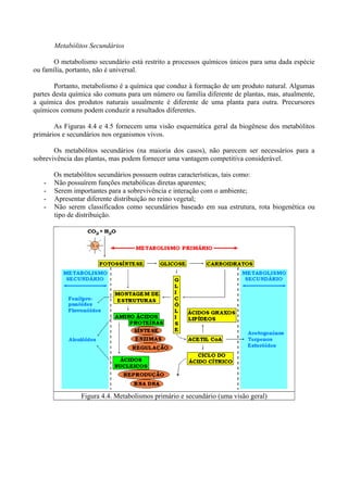 Metabólitos Secundários
O metabolismo secundário está restrito a processos químicos únicos para uma dada espécie
ou família, portanto, não é universal.
Portanto, metabolismo é a química que conduz à formação de um produto natural. Algumas
partes desta química são comuns para um número ou família diferente de plantas, mas, atualmente,
a química dos produtos naturais usualmente é diferente de uma planta para outra. Precursores
químicos comuns podem conduzir a resultados diferentes.
As Figuras 4.4 e 4.5 fornecem uma visão esquemática geral da biogênese dos metabólitos
primários e secundários nos organismos vivos.
Os metabólitos secundários (na maioria dos casos), não parecem ser necessários para a
sobrevivência das plantas, mas podem fornecer uma vantagem competitiva considerável.
Os metabólitos secundários possuem outras características, tais como:
- Não possuírem funções metabólicas diretas aparentes;
- Serem importantes para a sobrevivência e interação com o ambiente;
- Apresentar diferente distribuição no reino vegetal;
- Não serem classificados como secundários baseado em sua estrutura, rota biogenética ou
tipo de distribuição.
Figura 4.4. Metabolismos primário e secundário (uma visão geral)
 