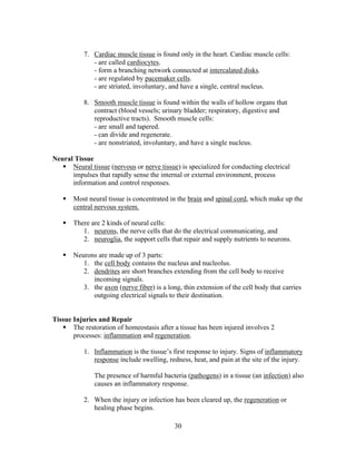 30
7. Cardiac muscle tissue is found only in the heart. Cardiac muscle cells:
- are called cardiocytes.
- form a branching network connected at intercalated disks.
- are regulated by pacemaker cells.
- are striated, involuntary, and have a single, central nucleus.
8. Smooth muscle tissue is found within the walls of hollow organs that
contract (blood vessels; urinary bladder; respiratory, digestive and
reproductive tracts). Smooth muscle cells:
- are small and tapered.
- can divide and regenerate.
- are nonstriated, involuntary, and have a single nucleus.
Neural Tissue
 Neural tissue (nervous or nerve tissue) is specialized for conducting electrical
impulses that rapidly sense the internal or external environment, process
information and control responses.
 Most neural tissue is concentrated in the brain and spinal cord, which make up the
central nervous system.
 There are 2 kinds of neural cells:
1. neurons, the nerve cells that do the electrical communicating, and
2. neuroglia, the support cells that repair and supply nutrients to neurons.
 Neurons are made up of 3 parts:
1. the cell body contains the nucleus and nucleolus.
2. dendrites are short branches extending from the cell body to receive
incoming signals.
3. the axon (nerve fiber) is a long, thin extension of the cell body that carries
outgoing electrical signals to their destination.
Tissue Injuries and Repair
 The restoration of homeostasis after a tissue has been injured involves 2
processes: inflammation and regeneration.
1. Inflammation is the tissue’s first response to injury. Signs of inflammatory
response include swelling, redness, heat, and pain at the site of the injury.
The presence of harmful bacteria (pathogens) in a tissue (an infection) also
causes an inflammatory response.
2. When the injury or infection has been cleared up, the regeneration or
healing phase begins.
 