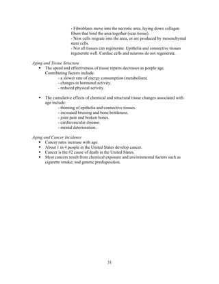 31
- Fibroblasts move into the necrotic area, laying down collagen
fibers that bind the area together (scar tissue).
- New cells migrate into the area, or are produced by mesenchymal
stem cells.
- Not all tissues can regenerate. Epithelia and connective tissues
regenerate well. Cardiac cells and neurons do not regenerate.
Aging and Tissue Structure
 The speed and effectiveness of tissue repairs decreases as people age.
Contributing factors include:
- a slower rate of energy consumption (metabolism).
- changes in hormonal activity.
- reduced physical activity.
 The cumulative effects of chemical and structural tissue changes associated with
age include:
- thinning of epithelia and connective tissues.
- increased bruising and bone brittleness.
- joint pain and broken bones.
- cardiovascular disease.
- mental deterioration.
Aging and Cancer Incidence
 Cancer rates increase with age.
 About 1 in 4 people in the United States develop cancer.
 Cancer is the #2 cause of death in the United States.
 Most cancers result from chemical exposure and environmental factors such as
cigarette smoke; and genetic predisposition.
 