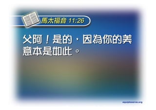 Torah Bible Study Club 妥拉五經
