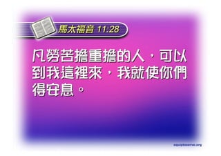 Torah Bible Study Club 妥拉五經