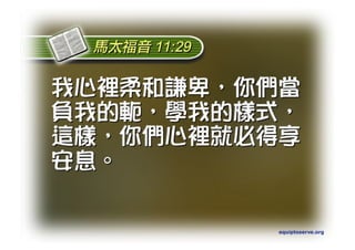 Torah Bible Study Club 妥拉五經