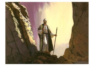 Torah Bible Study Club 妥拉五經