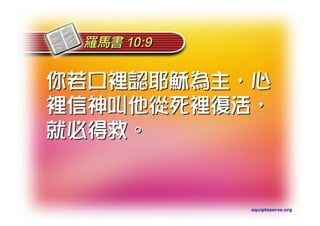 Torah Bible Study Club 妥拉五經