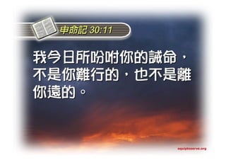 Torah Bible Study Club 妥拉五經
