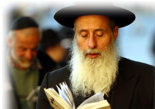 Torah Bible Study Club 妥拉五經