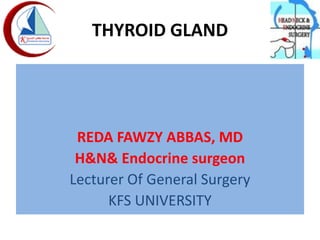 THYROID GLAND
REDA FAWZY ABBAS, MD
H&N& Endocrine surgeon
Lecturer Of General Surgery
KFS UNIVERSITY
 