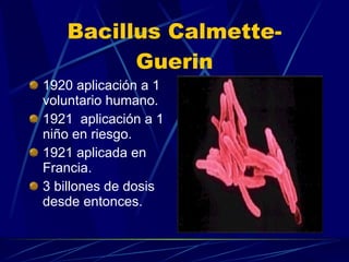 Bacillus Calmette-Guerin 1920 aplicación a 1 voluntario humano. 1921  aplicación a 1 niño en riesgo. 1921 aplicada en Francia. 3 billones de dosis desde entonces. 
