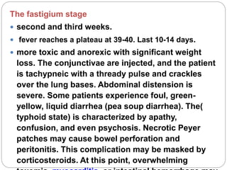The fastigium stage
 second and third weeks.
 fever reaches a plateau at 39-40. Last 10-14 days.
 more toxic and anorexic with significant weight
loss. The conjunctivae are injected, and the patient
is tachypneic with a thready pulse and crackles
over the lung bases. Abdominal distension is
severe. Some patients experience foul, green-
yellow, liquid diarrhea (pea soup diarrhea). The(
typhoid state) is characterized by apathy,
confusion, and even psychosis. Necrotic Peyer
patches may cause bowel perforation and
peritonitis. This complication may be masked by
corticosteroids. At this point, overwhelming
 