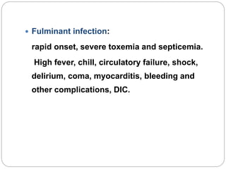  Fulminant infection:
rapid onset, severe toxemia and septicemia.
High fever, chill, circulatory failure, shock,
delirium, coma, myocarditis, bleeding and
other complications, DIC.
 