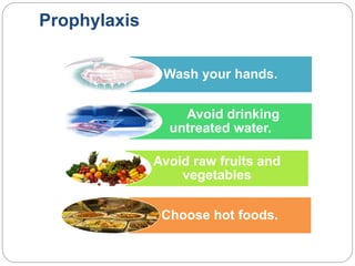 Prophylaxis
Wash your hands.
Avoid drinking
untreated water.
Avoid raw fruits and
vegetables
Choose hot foods.
 