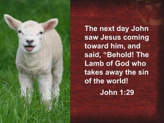 Lamb of God The next day John saw Jesus coming toward him, and said, “Behold! The Lamb of God who takes away the sin of the world! John 1:29 