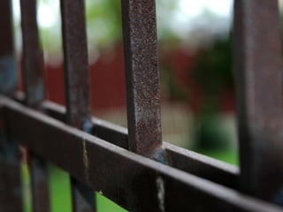 Bars of Gate 