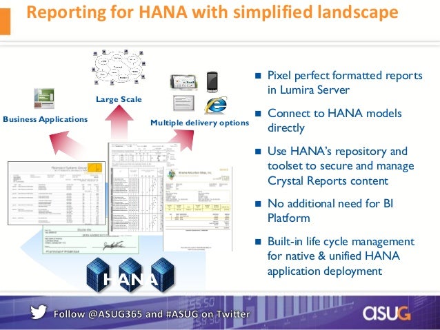 sap reporting